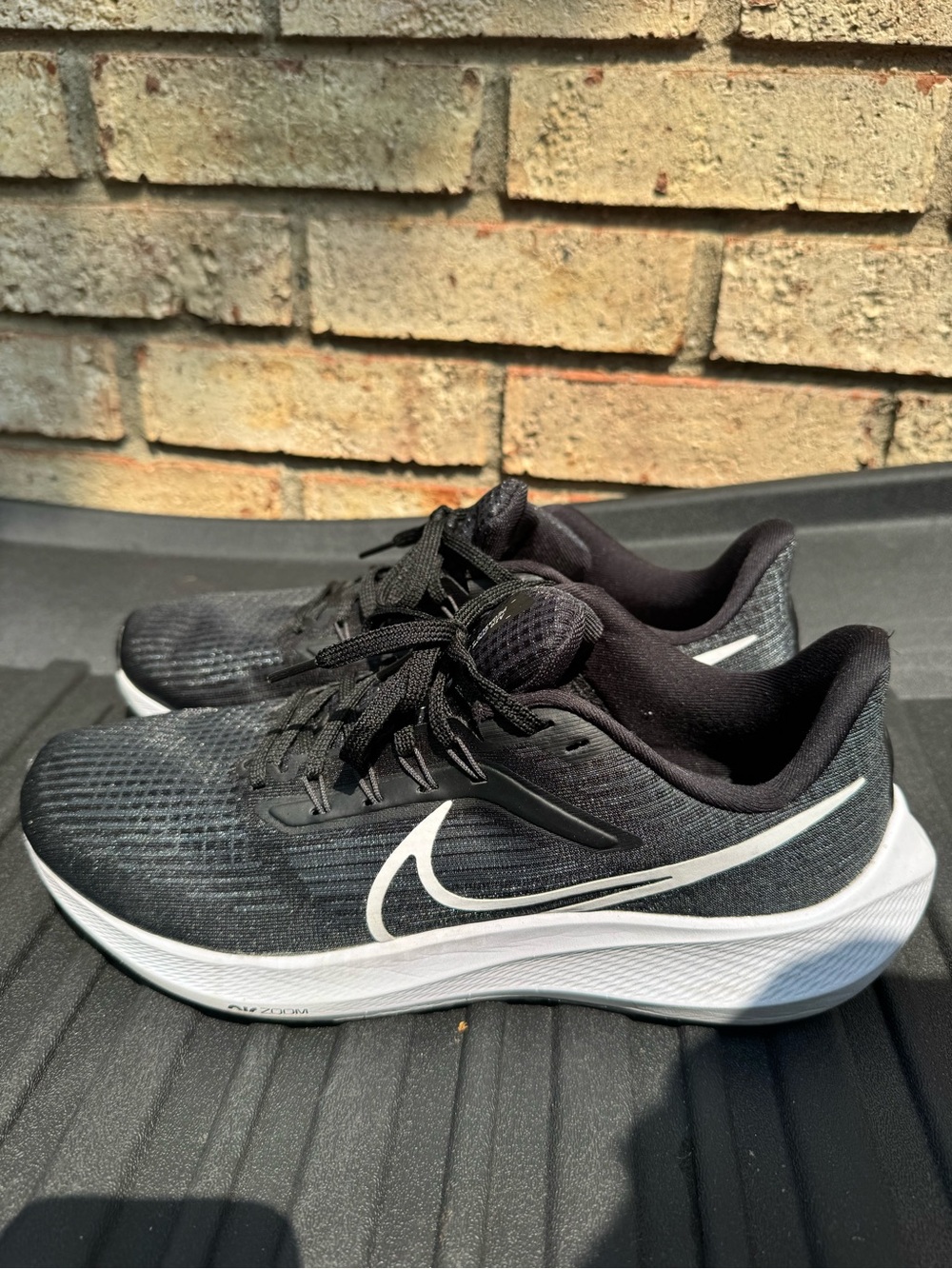 Nike Pegasus 39 Mens